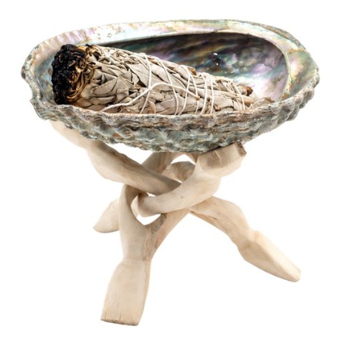 Conchiglia Abalone con smudge acceso